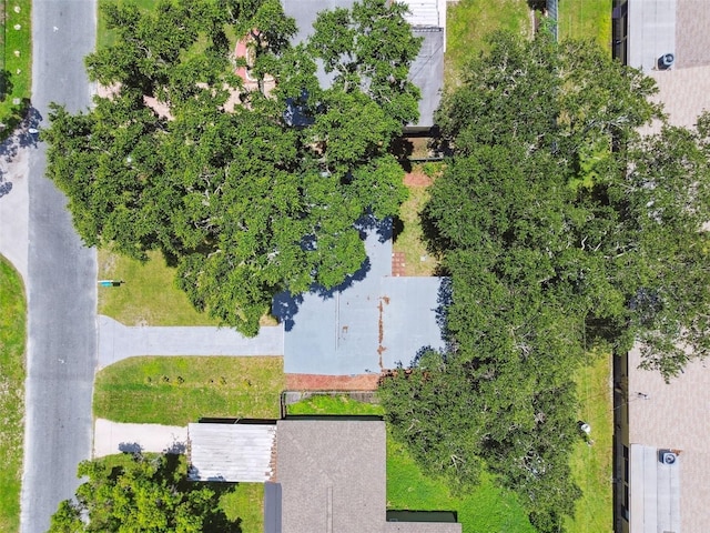1833 Knollwood Dr, Holiday, FL 34690 - photo 35