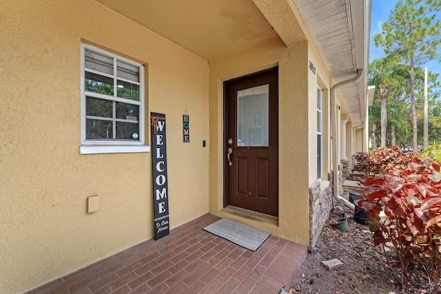 10947 Brickside Ct, Riverview, FL 33579 - photo 4