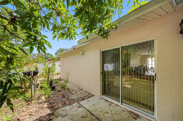 8502 N Hyaleah Rd, Tampa, FL 33617 - photo 28