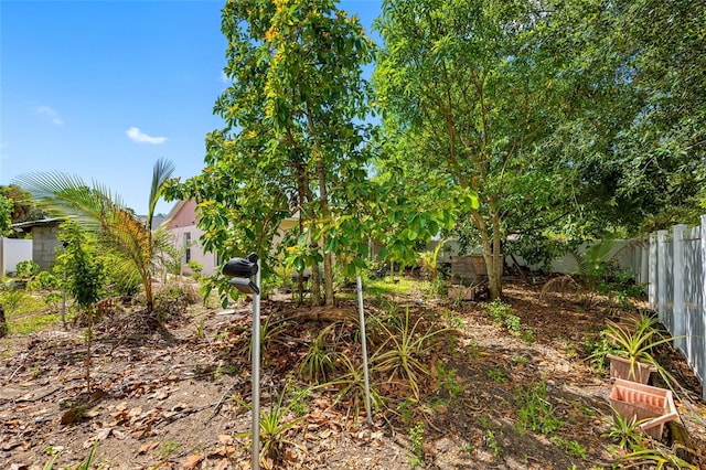 8502 N Hyaleah Rd, Tampa, FL 33617 - photo 31