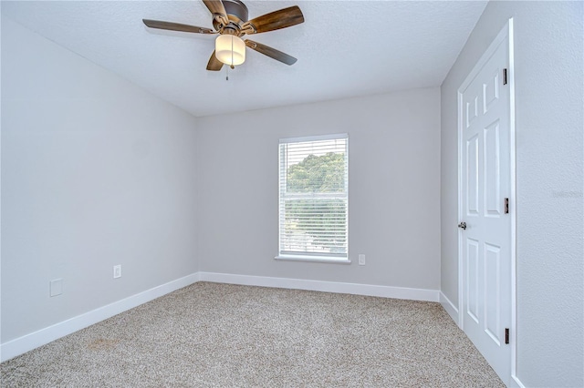 12928 Kings Lake Dr, Gibsonton, FL 33534 - photo 34
