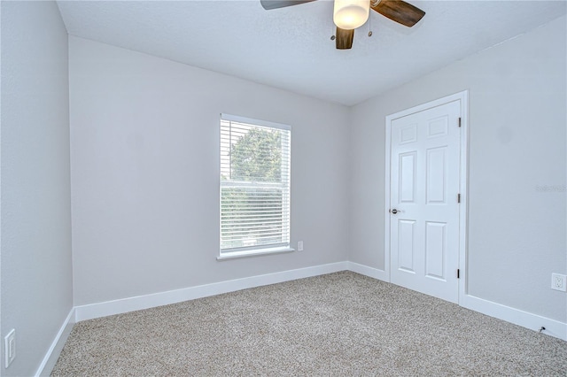 12928 Kings Lake Dr, Gibsonton, FL 33534 - photo 35