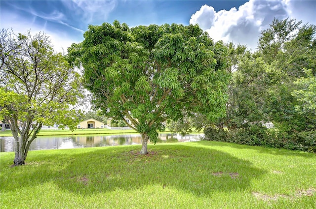 12928 Kings Lake Dr, Gibsonton, FL 33534 - photo 49