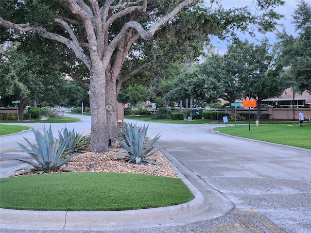 10539 Egret Haven Ln, Riverview, FL 33578 - view of asphalt street with curbs