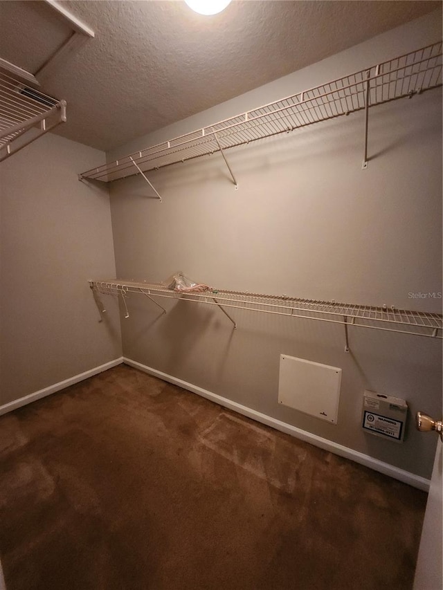 10539 Egret Haven Ln, Riverview, FL 33578 - photo 44