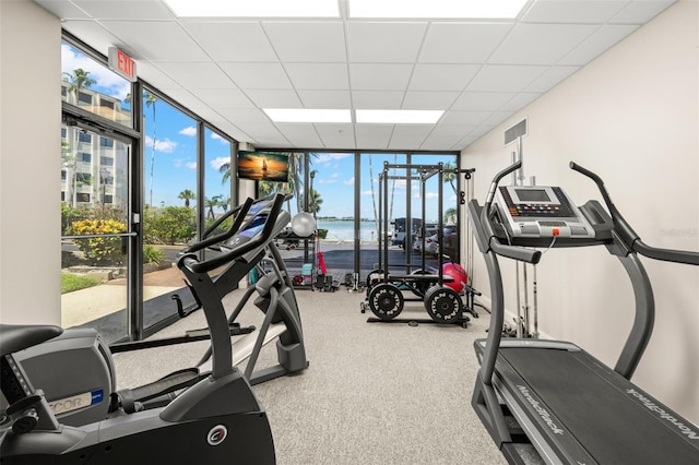 80 Rogers St Unit 3A, Clearwater, FL 33756 - workout area with floor to ceiling windows and a drop ceiling