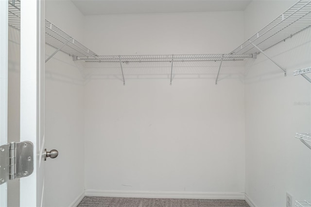 9741 Mulberry Marsh Ln, Sun City Center, FL 33573 - spacious closet featuring carpet flooring