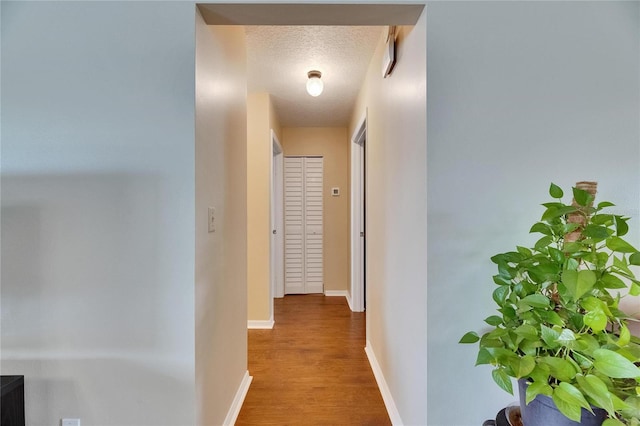1502 Fort Duquesna Dr, Sun City Center, FL 33573 - hall with wood finished floors and a textured ceiling