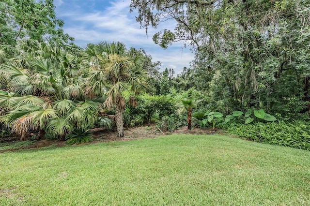13816 Thoroughbred Dr, Dade City, FL 33525 - photo 33