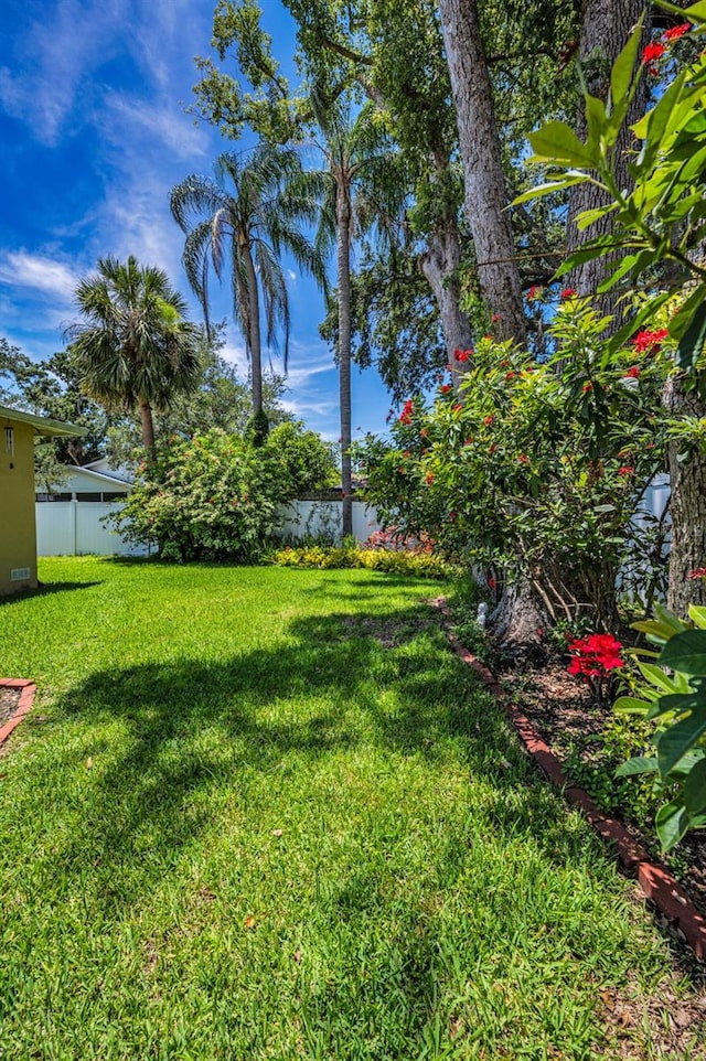 4112 W Corona St, Tampa, FL 33629 - photo 57
