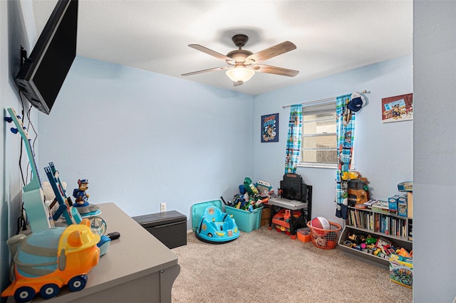 9844 Xenia St, New Port Richey, FL 34654 - photo 19