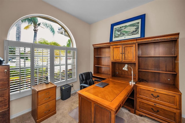5633 Wellington Ct, Palm Harbor, FL 34685 - photo 33