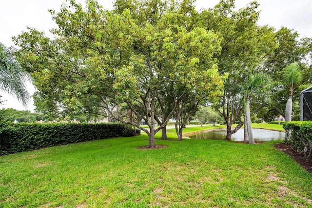 5633 Wellington Ct, Palm Harbor, FL 34685 - photo 51