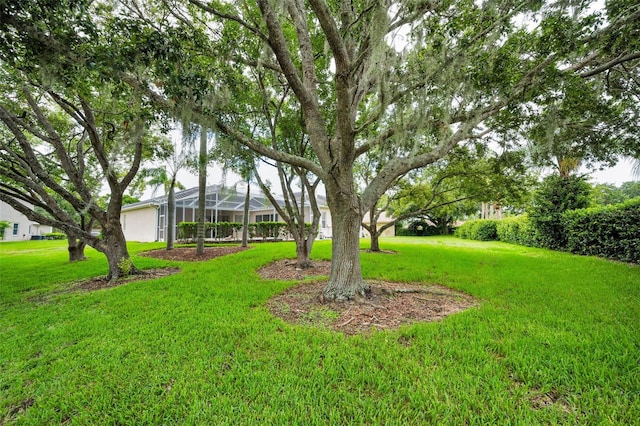 5633 Wellington Ct, Palm Harbor, FL 34685 - photo 52
