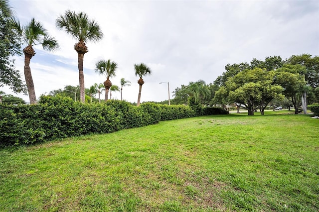 5633 Wellington Ct, Palm Harbor, FL 34685 - photo 54