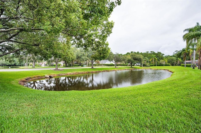 5633 Wellington Ct, Palm Harbor, FL 34685 - photo 56