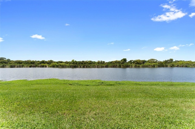 1604 Acadia Harbor Pl, Brandon, FL 33511 - water view