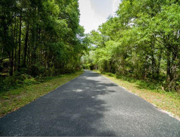 Avonwood St, Tampa, FL 33625 - photo 2