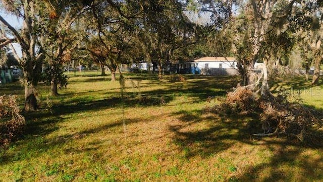 Avonwood St, Tampa, FL 33625 - photo 3