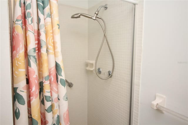 402 Dorchester Pl Unit 44, Sun City Center, FL 33573 - bathroom view of tiled shower