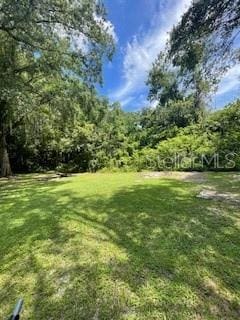 14935 Ogden Loop, Odessa, FL 33556 - photo 5