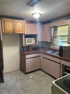 14935 Ogden Loop, Odessa, FL 33556 - photo 9