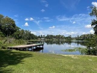 14935 Ogden Loop, Odessa, FL 33556 - photo 16
