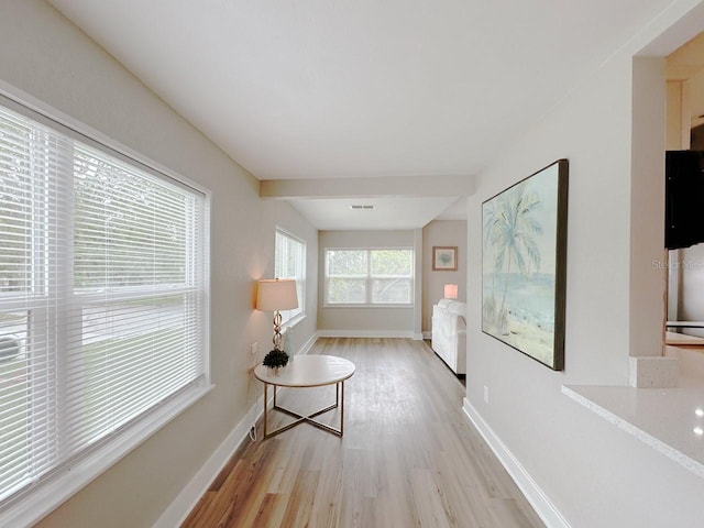 1554 Elmwood St, Clearwater, FL 33755 - photo 12