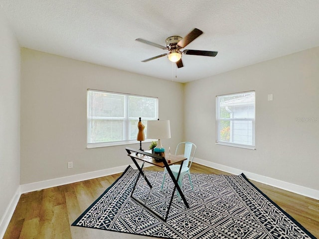 1554 Elmwood St, Clearwater, FL 33755 - photo 13
