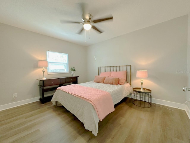 1554 Elmwood St, Clearwater, FL 33755 - photo 18