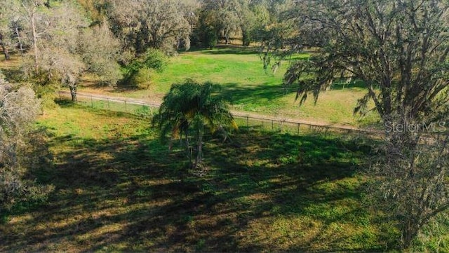 Avonwood St, Tampa, FL 33625 - photo 2