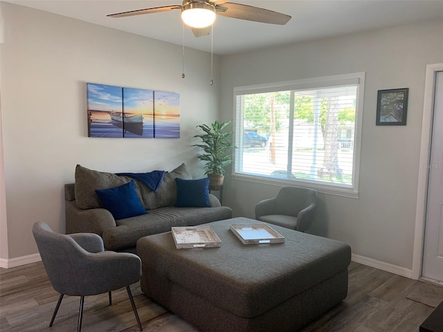 10160 118th Ave, Largo, FL 33773 - photo 5