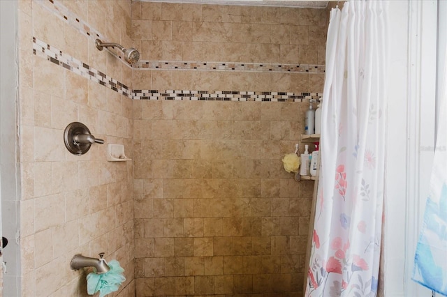 11109 Sumner Rd, Wimauma, FL 33598 - photo 56