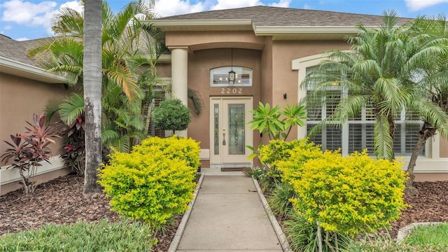 2202 Hickory Ridge Dr, Valrico, FL 33596 - property entrance featuring stucco siding and roof with shingles