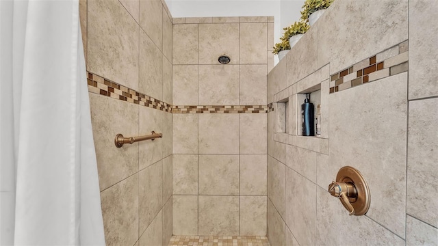 2202 Hickory Ridge Dr, Valrico, FL 33596 - bathroom featuring tiled shower