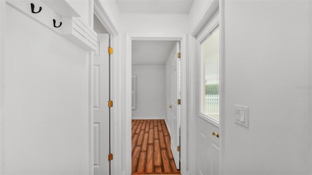 2202 Hickory Ridge Dr, Valrico, FL 33596 - hallway with healthy amount of natural light and wood finished floors