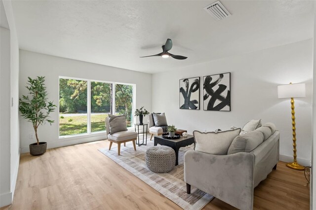14602 NW 122nd Ter, Alachua, FL 32615 - photo 11