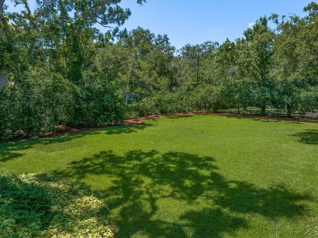 1681 Long Bow Ln, Clearwater, FL 33764 - photo 72