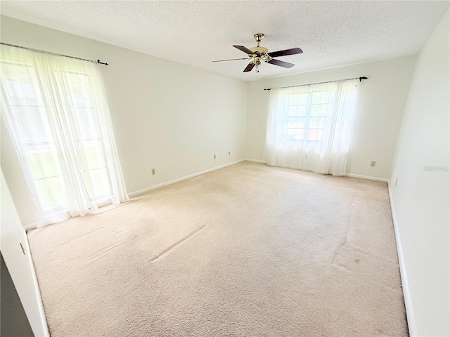 4306 Woodside Manor Dr, Tampa, FL 33624 - photo 10