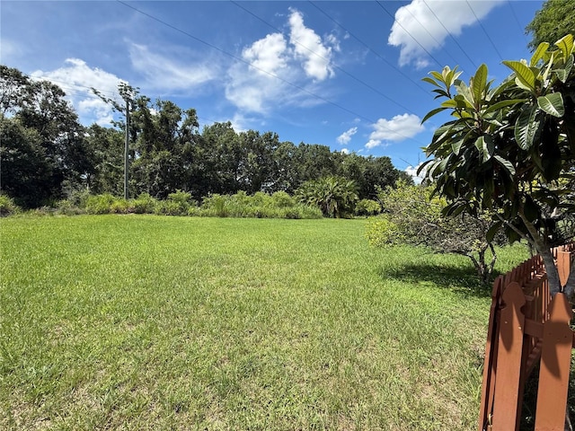 4306 Woodside Manor Dr, Tampa, FL 33624 - photo 27