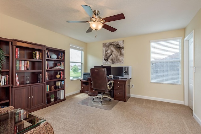 19309 Prairie Tree Pl, Tampa, FL 33647 - office area with a ceiling fan and carpet