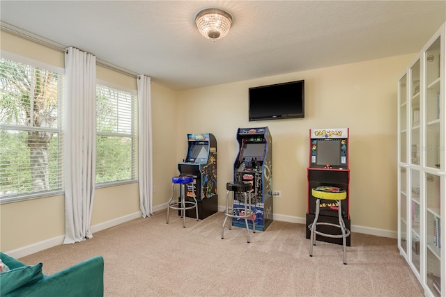 19309 Prairie Tree Pl, Tampa, FL 33647 - game room with carpet and french doors