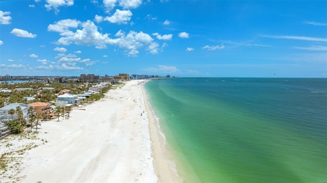 880 Mandalay Ave Unit C512, Clearwater Beach, FL 33767 - photo 37
