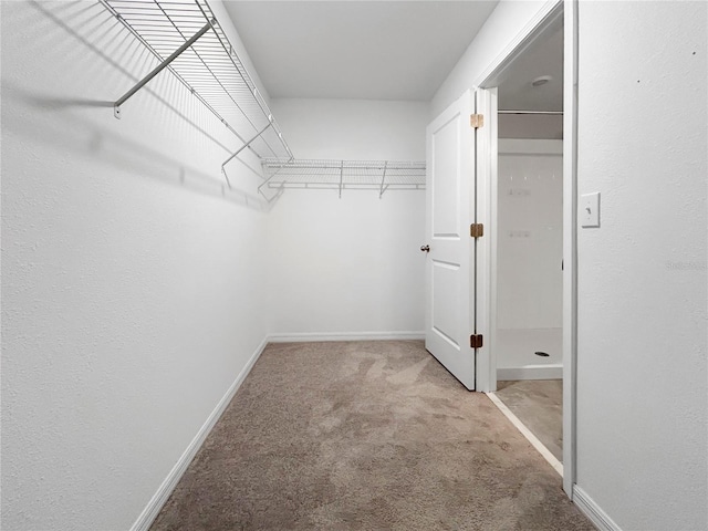 17201 Beach Buttercup Pl, Wimauma, FL 33598 - photo 17
