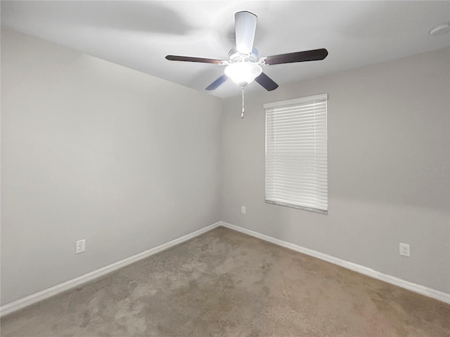 17201 Beach Buttercup Pl, Wimauma, FL 33598 - photo 32