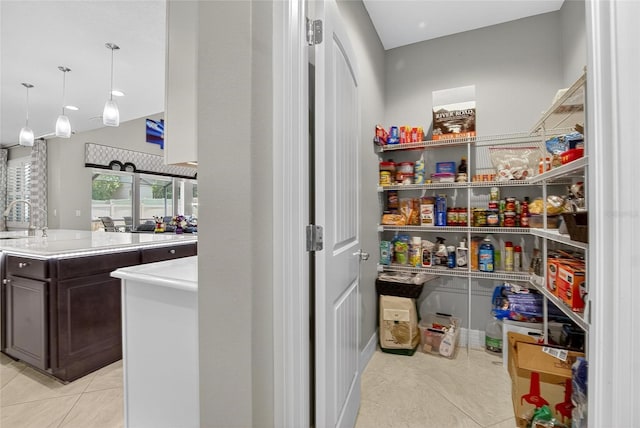 10313 Scarlet Chase Dr, Riverview, FL 33569 - pantry with a sink