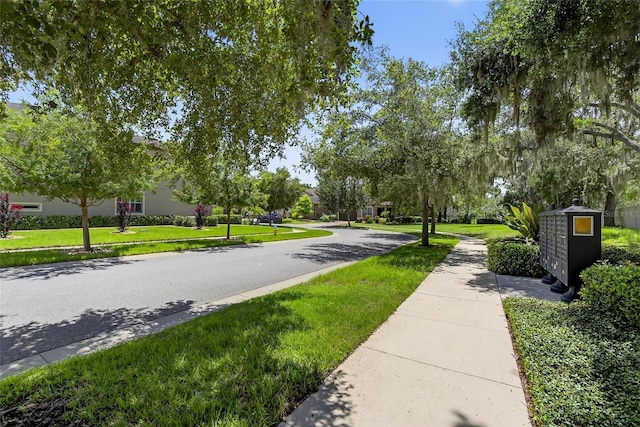 10313 Scarlet Chase Dr, Riverview, FL 33569 - view of asphalt street featuring sidewalks and curbs
