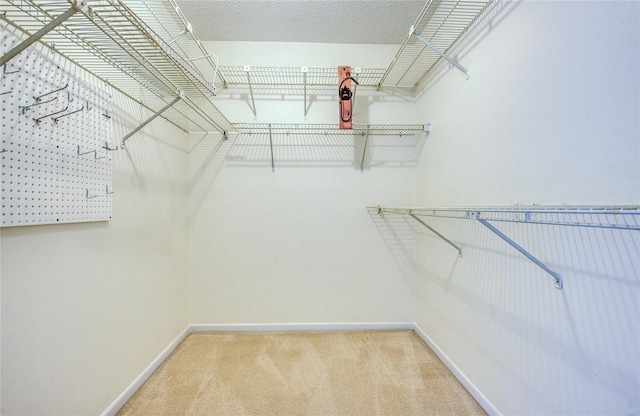 700 Starkey Rd Unit 1145, Largo, FL 33771 - spacious closet with carpet flooring