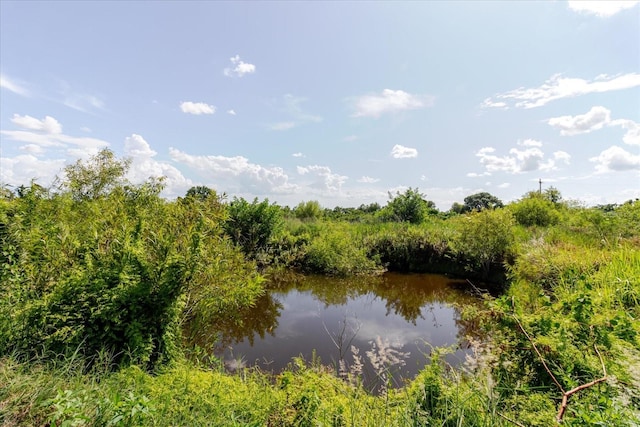 11105 Sumner Rd, Wimauma, FL 33598 - photo 20