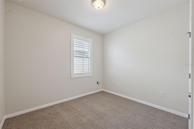 13614 Hunting Creek Pl, Spring Hill, FL 34609 - photo 19